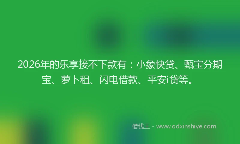 2026年的乐享接不下款有：小象快贷、甄宝分期宝、萝卜租、闪电借款、平安i贷等。