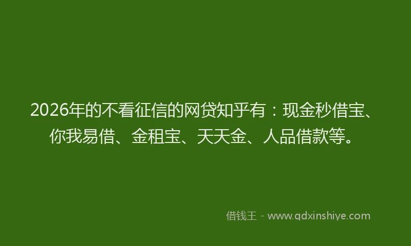 2026年的不看征信的网贷知乎有:现金秒借宝、你我易借、金租宝、天天金、人品借款等。