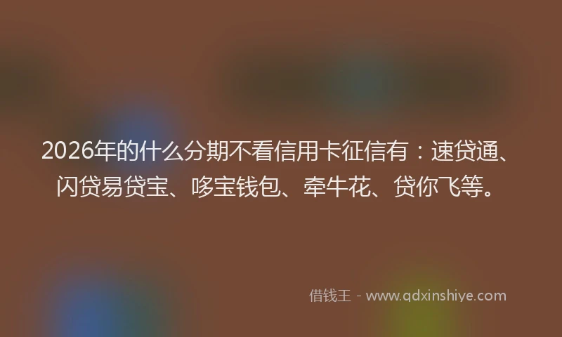 2026年的什么分期不看信用卡征信有:速贷通、闪贷易贷宝、哆宝钱包、牵牛花、贷你飞等。