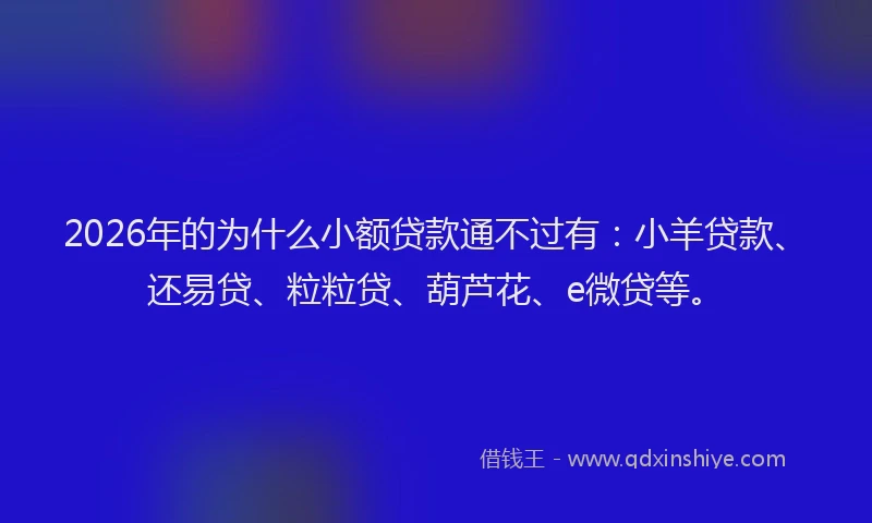 2026年的为什么小额贷款通不过有：小羊贷款、还易贷、粒粒贷、葫芦花、e微贷等。
