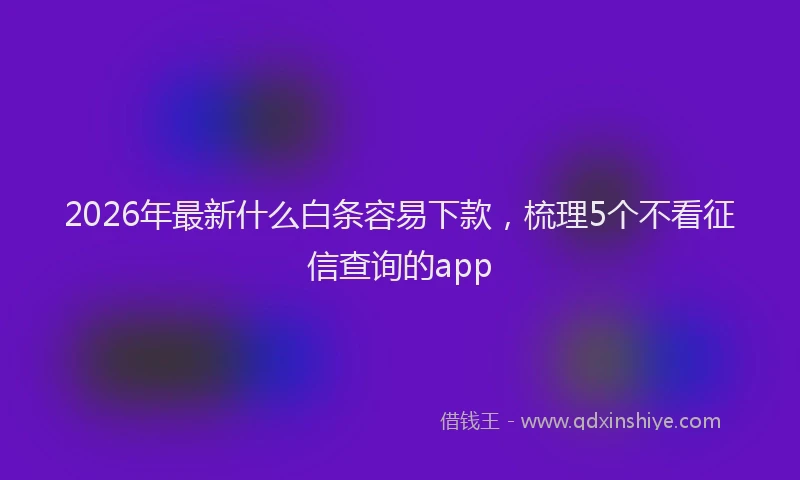 2026年最新什么白条容易下款,梳理5个不看征信查询的app