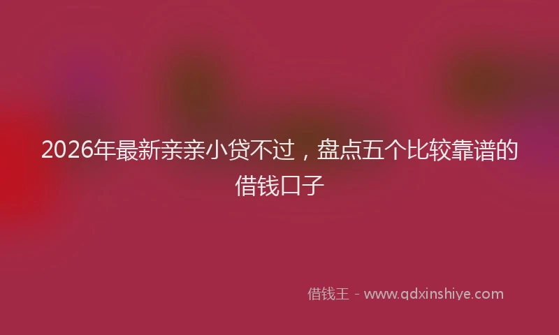 2026年最新亲亲小贷不过,盘点五个比较靠谱的借钱口子