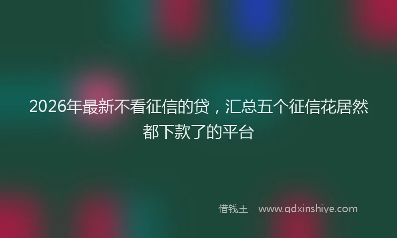 2026年最新不看征信的贷，汇总五个征信花居然都下款了的平台