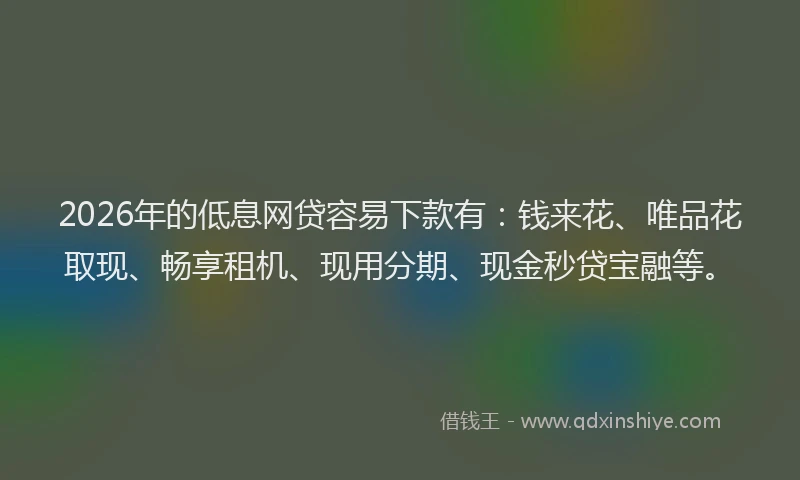 2026年的低息网贷容易下款有:钱来花、唯品花取现、畅享租机、现用分期、现金秒贷宝融等。