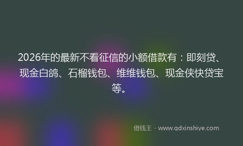 2026年的最新不看征信的小额借款有:即刻贷、现金白鸽、石榴钱包、维维钱包、现金侠快贷宝等。