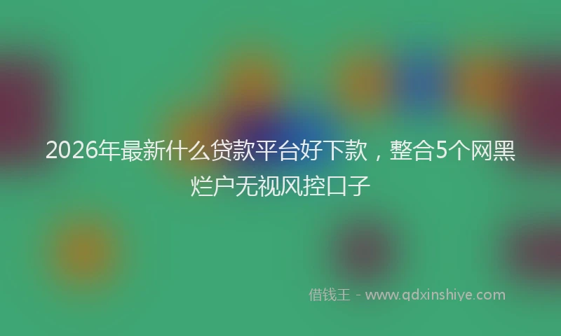 2026年最新什么贷款平台好下款,整合5个网黑烂户无视风控口子