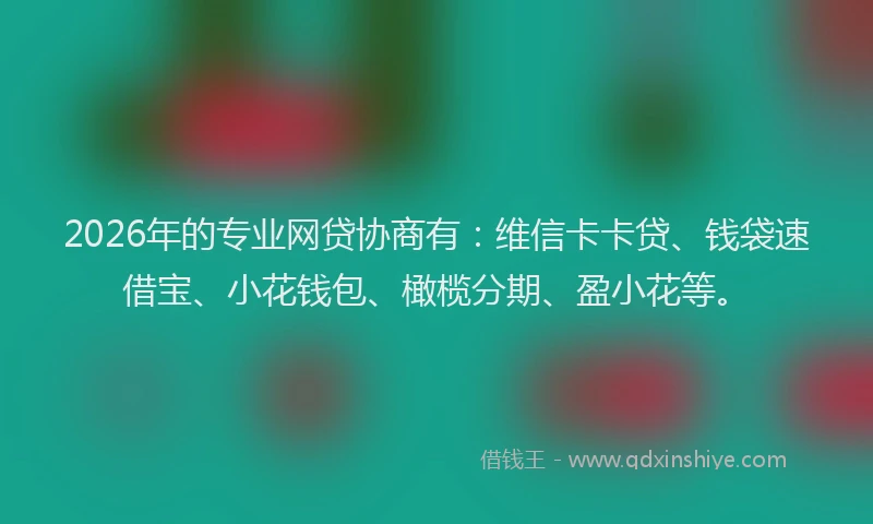2026年的专业网贷协商有：维信卡卡贷、钱袋速借宝、小花钱包、橄榄分期、盈小花等。