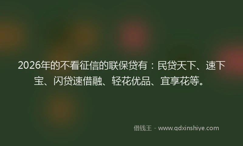 2026年的不看征信的联保贷有:民贷天下、速下宝、闪贷速借融、轻花优品、宜享花等。