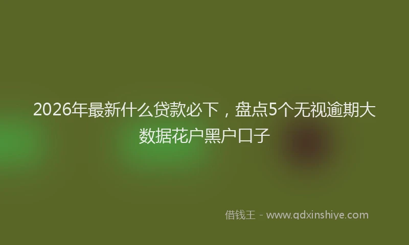 2026年最新什么贷款必下，盘点5个无视逾期大数据花户黑户口子