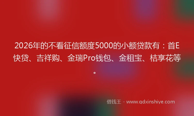2026年的不看征信额度5000的小额贷款有:首E快贷、吉祥购、金瑞Pro钱包、金租宝、桔享花等。
