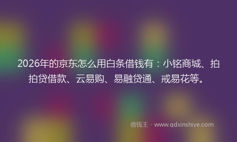 2026年的京东怎么用白条借钱有:小铭商城、拍拍贷借款、云易购、易融贷通、戒易花等。
