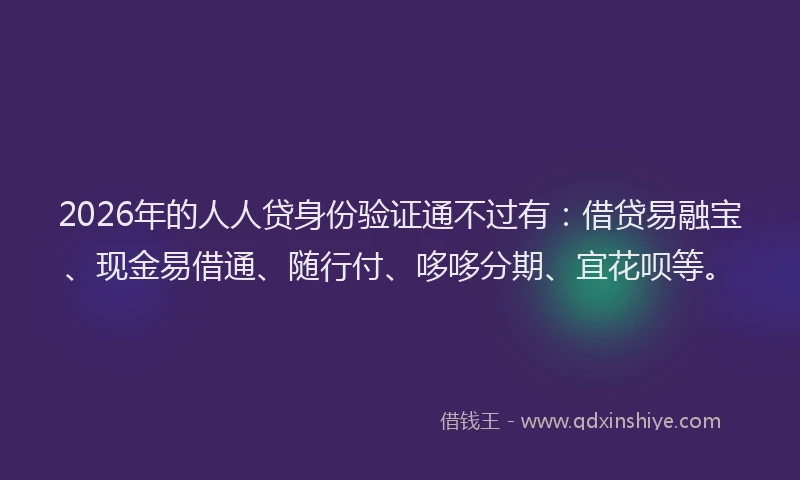 2026年的人人贷身份验证通不过有:借贷易融宝、现金易借通、随行付、哆哆分期、宜花呗等。