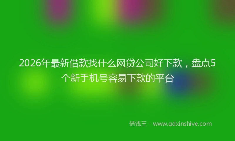 2026年最新借款找什么网贷公司好下款，盘点5个新手机号容易下款的平台