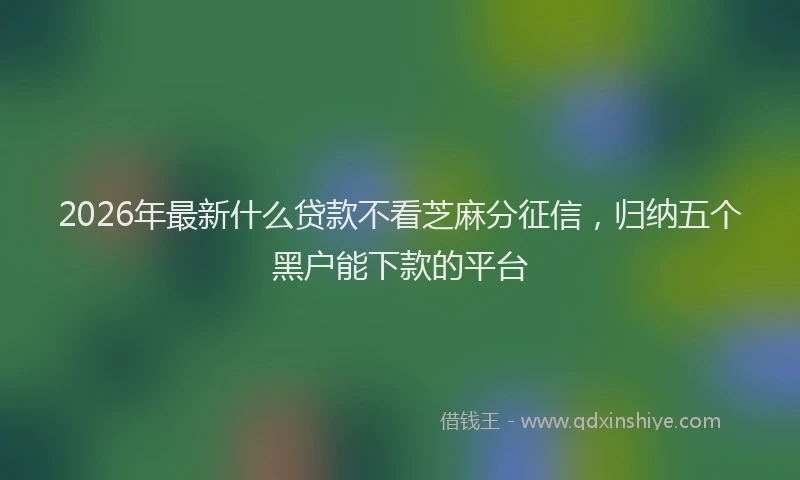 2026年最新什么贷款不看芝麻分征信,归纳五个黑户能下款的平台