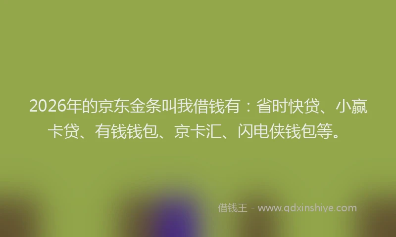 2026年的京东金条叫我借钱有：省时快贷、小赢卡贷、有钱钱包、京卡汇、闪电侠钱包等。