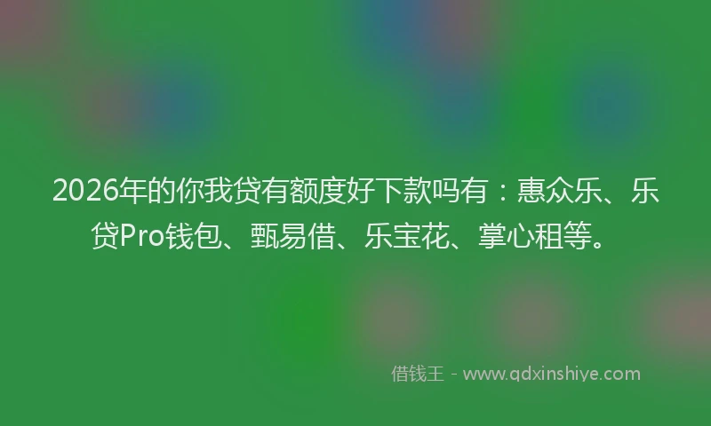 2026年的你我贷有额度好下款吗有：惠众乐、乐贷Pro钱包、甄易借、乐宝花、掌心租等。