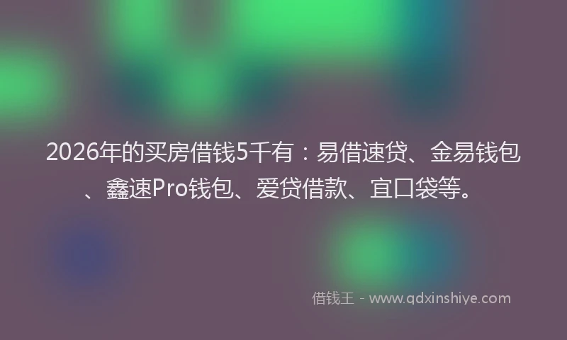 2026年的买房借钱5千有：易借速贷、金易钱包、鑫速Pro钱包、爱贷借款、宜口袋等。