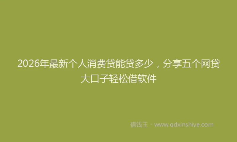 2026年最新个人消费贷能贷多少,分享五个网贷大口子轻松借软件