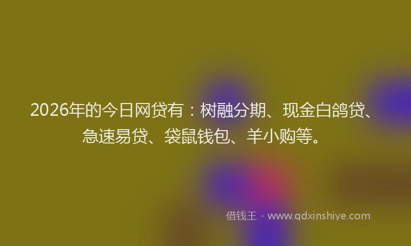 2026年的今日网贷有:树融分期、现金白鸽贷、急速易贷、袋鼠钱包、羊小购等。