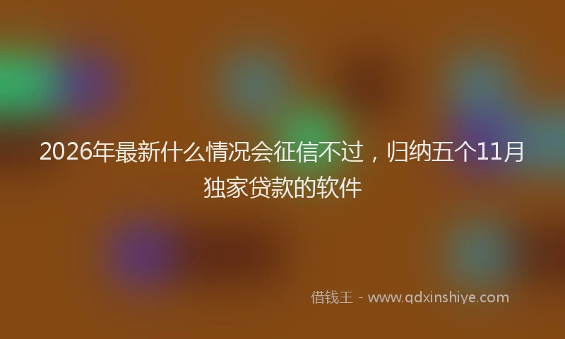 2026年最新什么情况会征信不过，归纳五个11月独家贷款的软件