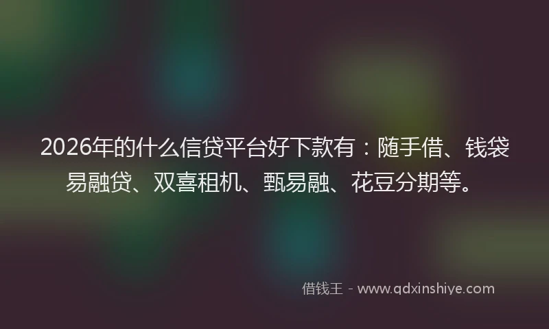 2026年的什么信贷平台好下款有:随手借、钱袋易融贷、双喜租机、甄易融、花豆分期等。