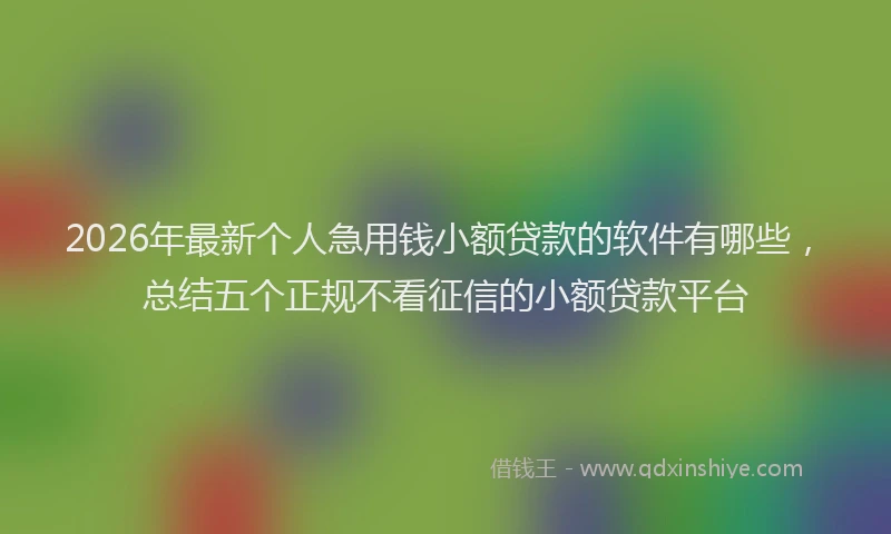 2026年最新个人急用钱小额贷款的软件有哪些,总结五个正规不看征信的小额贷款平台