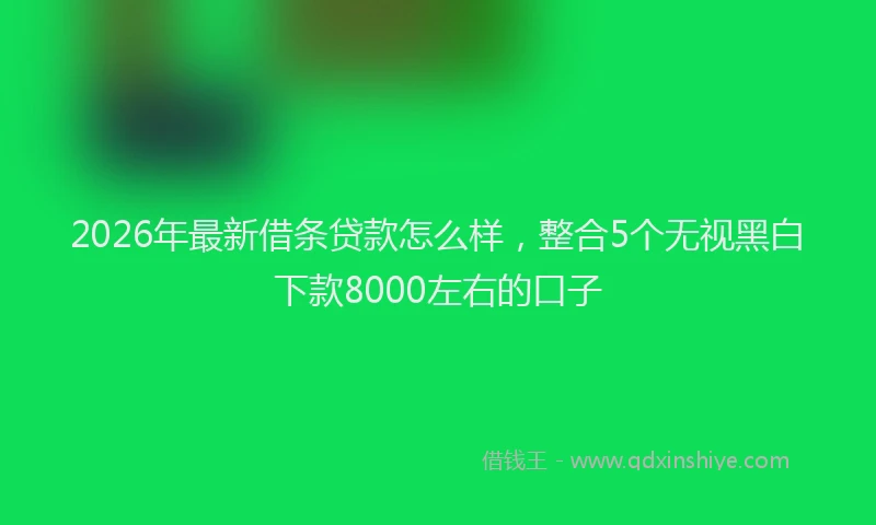2026年最新借条贷款怎么样，整合5个无视黑白下款8000左右的口子
