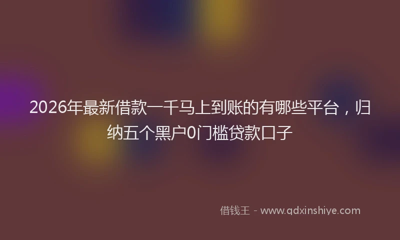2026年最新借款一千马上到账的有哪些平台,归纳五个黑户0门槛贷款口子