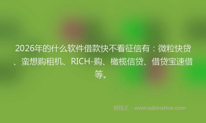 2026年的什么软件借款快不看征信有：微粒快贷、蛮想购租机、RICH-购、橄榄信贷、借贷宝速借等。