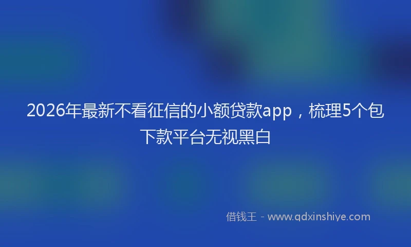 2026年最新不看征信的小额贷款app，梳理5个包下款平台无视黑白