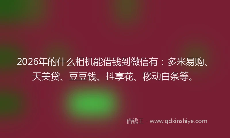 2026年的什么相机能借钱到微信有：多米易购、天美贷、豆豆钱、抖享花、移动白条等。