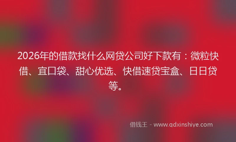 2026年的借款找什么网贷公司好下款有：微粒快借、宜口袋、甜心优选、快借速贷宝盒、日日贷等。