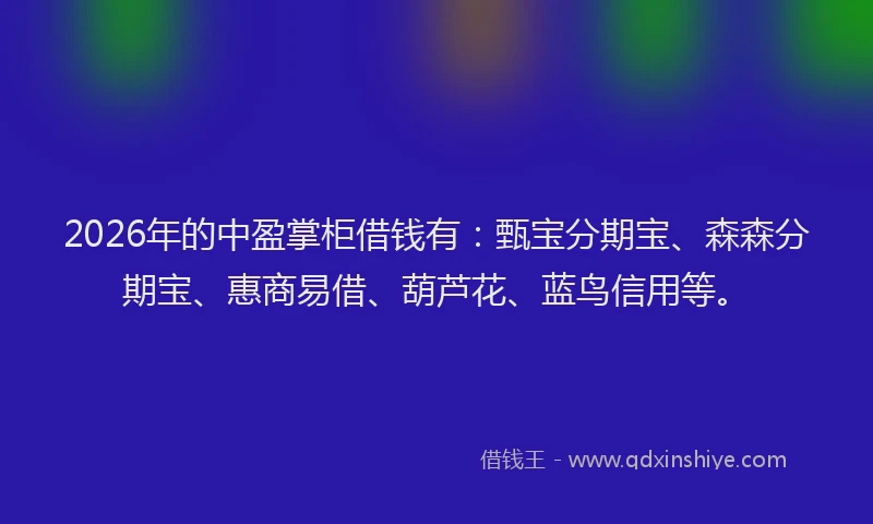2026年的中盈掌柜借钱有:甄宝分期宝、森森分期宝、惠商易借、葫芦花、蓝鸟信用等。