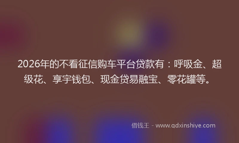 2026年的不看征信购车平台贷款有:呼吸金、超级花、享宇钱包、现金贷易融宝、零花罐等。