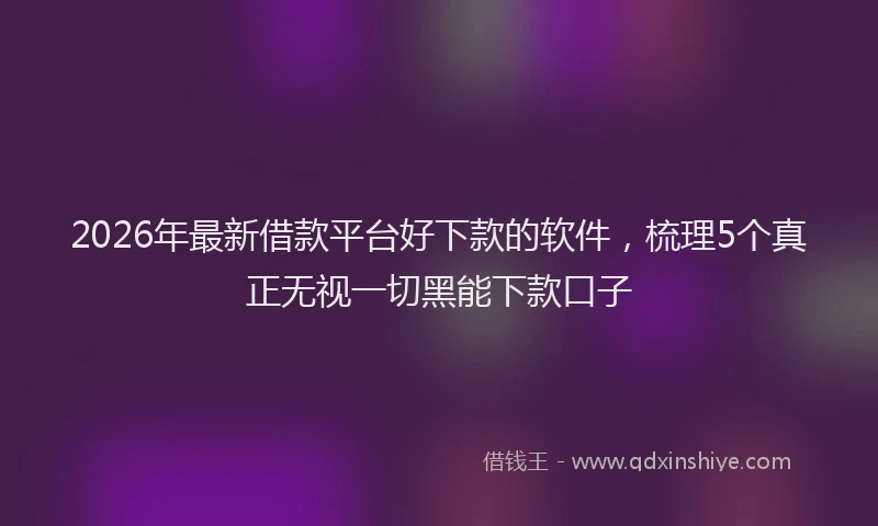 2026年最新借款平台好下款的软件，梳理5个真正无视一切黑能下款口子