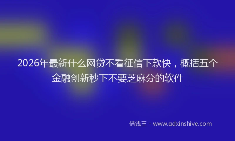 2026年最新什么网贷不看征信下款快，概括五个金融创新秒下不要芝麻分的软件