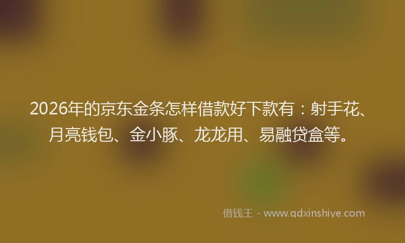 2026年的京东金条怎样借款好下款有：射手花、月亮钱包、金小豚、龙龙用、易融贷盒等。