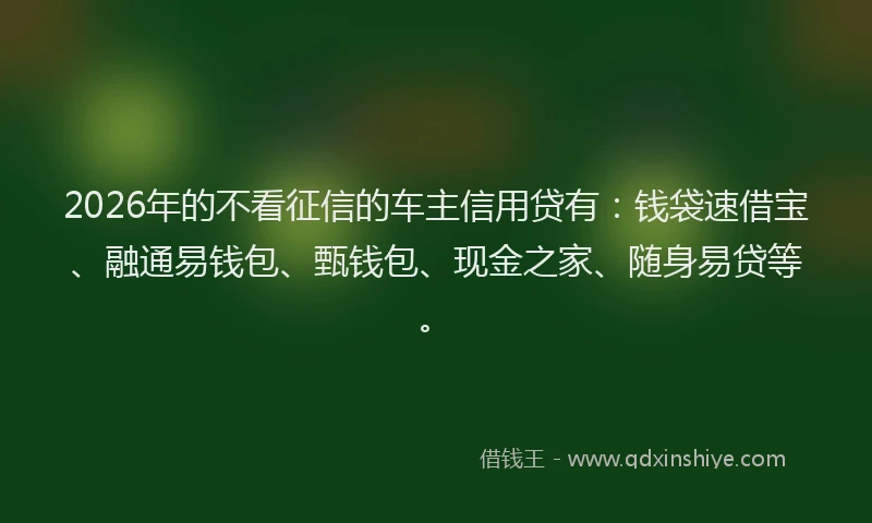 2026年的不看征信的车主信用贷有:钱袋速借宝、融通易钱包、甄钱包、现金之家、随身易贷等。