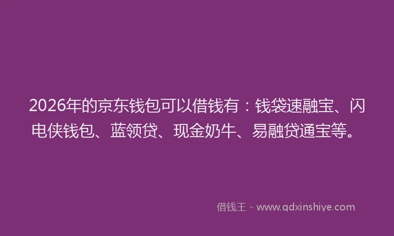 2026年的京东钱包可以借钱有：钱袋速融宝、闪电侠钱包、蓝领贷、现金奶牛、易融贷通宝等。