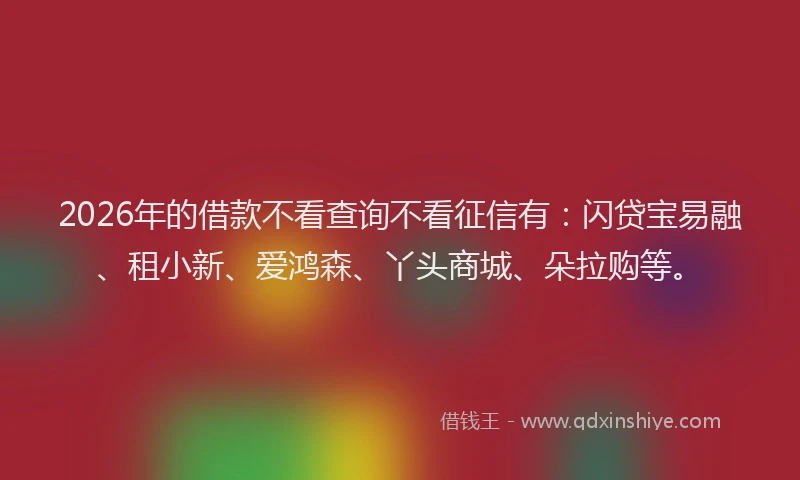 2026年的借款不看查询不看征信有：闪贷宝易融、租小新、爱鸿森、丫头商城、朵拉购等。
