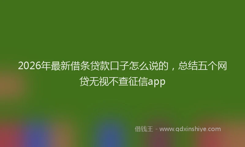 2026年最新借条贷款口子怎么说的，总结五个网贷无视不查征信app