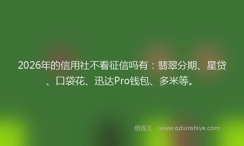 2026年的信用社不看征信吗有：翡翠分期、星贷、口袋花、迅达Pro钱包、多米等。