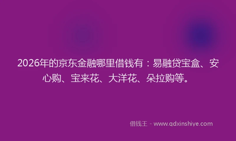 2026年的京东金融哪里借钱有：易融贷宝盒、安心购、宝来花、大洋花、朵拉购等。