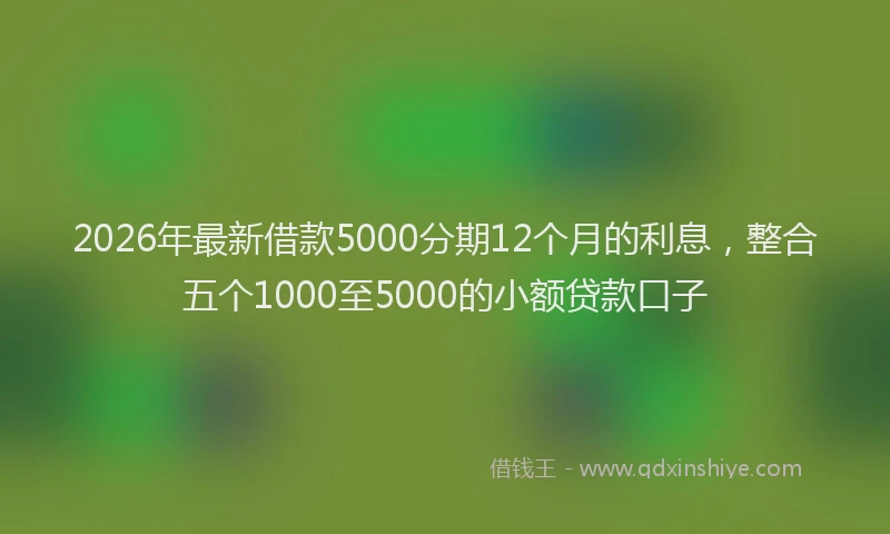 2026年最新借款5000分期12个月的利息，整合五个1000至5000的小额贷款口子