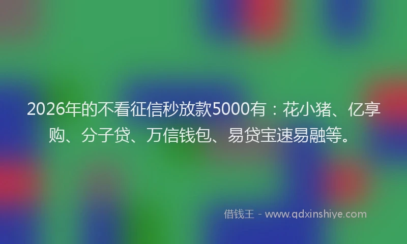 2026年的不看征信秒放款5000有：花小猪、亿享购、分子贷、万信钱包、易贷宝速易融等。
