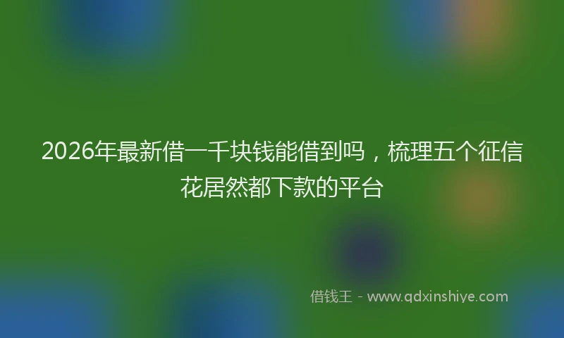 2026年最新借一千块钱能借到吗,梳理五个征信花居然都下款的平台