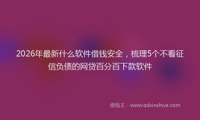 2026年最新什么软件借钱安全,梳理5个不看征信负债的网贷百分百下款软件