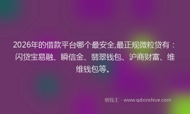 2026年的借款平台哪个最安全,最正规微粒贷有：闪贷宝易融、瞬信金、翡翠钱包、沪商财富、维维钱包等。