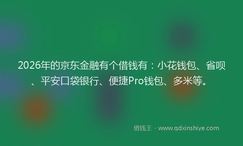2026年的京东金融有个借钱有：小花钱包、省呗、平安口袋银行、便捷Pro钱包、多米等。