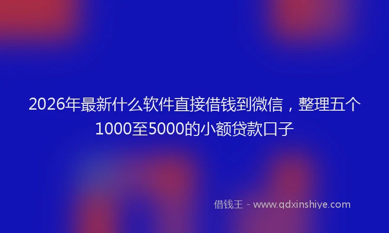 2026年最新什么软件直接借钱到微信，整理五个1000至5000的小额贷款口子